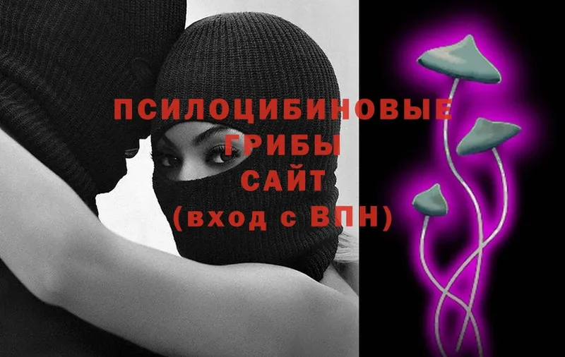 Галлюциногенные грибы мухоморы  площадка как зайти  Зубцов 