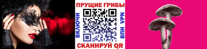 Галлюциногенные грибы Magic Shrooms  KRAKEN маркетплейс  Зубцов  сколько стоит 