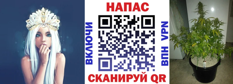 хочу наркоту  Зубцов  ОМГ ОМГ ONION  Бошки марихуана Amnesia 